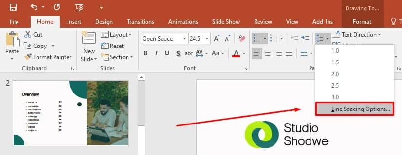 Line Spacing Options