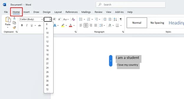 Select Font Size