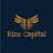Rize Capital